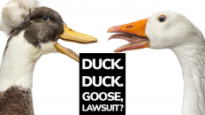 Duck Duck Goose lawsuit - Pool store owners “goosed” then sued