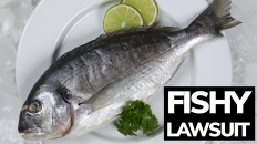 Fishy Lawsuit - Making a federal case out of three small fish